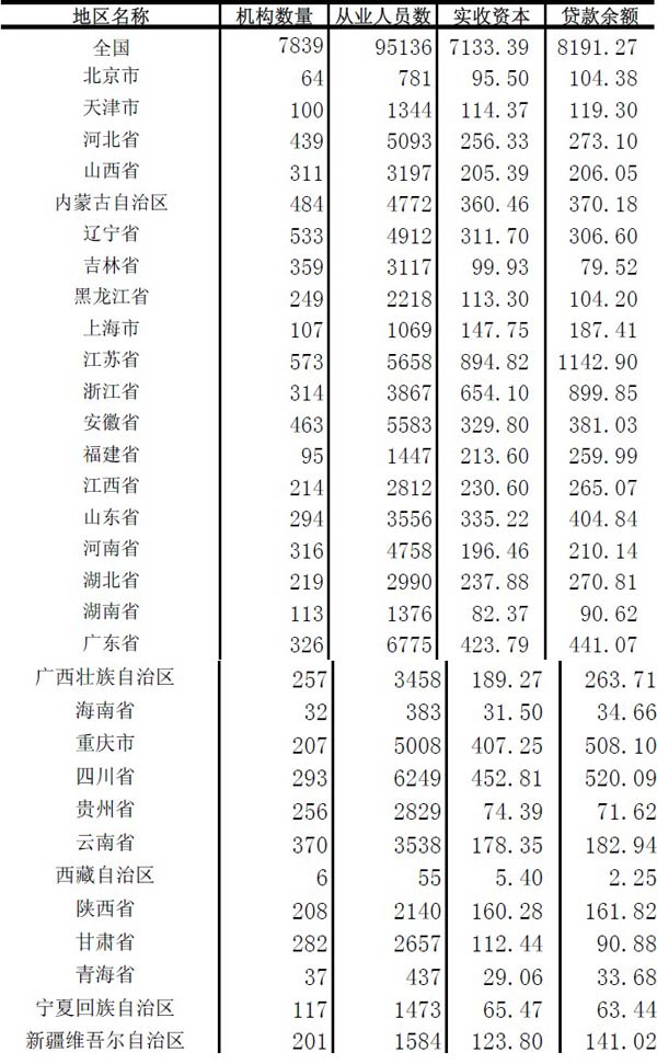 2013年小额贷款公司数据统计报告